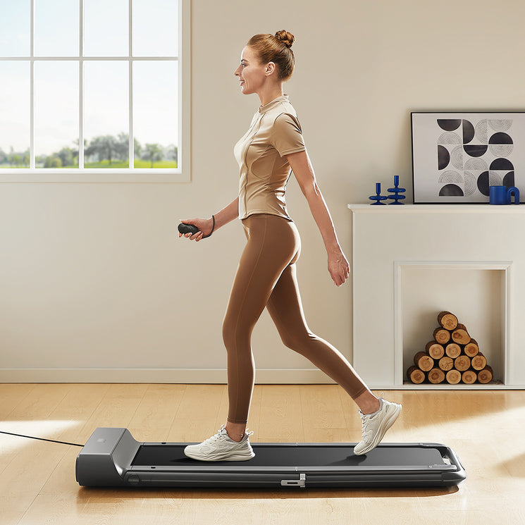 WalkingPad R1 Double-Fold Treadmill - Silver