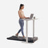files/product_WalkingPad_R3-treadmill-under-standing-desk.webp