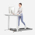 files/product_walkingpad-z3-treadmill-office-use.webp
