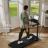 files/scene_walkingpad-mx10-running-workout.webp