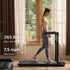 files/scene_walkingpad-r3-hybrid-plus-living-room-walk.webp