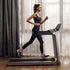 files/scene_walkingpad-x218-living-room-run.webp