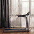 files/scene_walkingpad-x218-wide-deck.webp