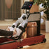 files/scene_wm10-rowing-display.webp