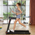 files/scene_wppro-walking-on-treadmill.jpg