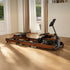 files/scene_wr3l-rowing-machine-open.webp